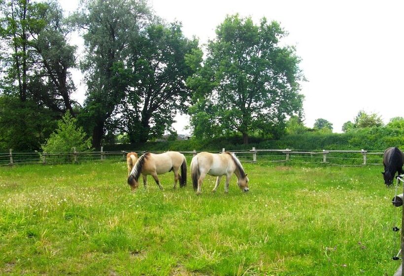 ホテル Vierjahreszeiten Appartments