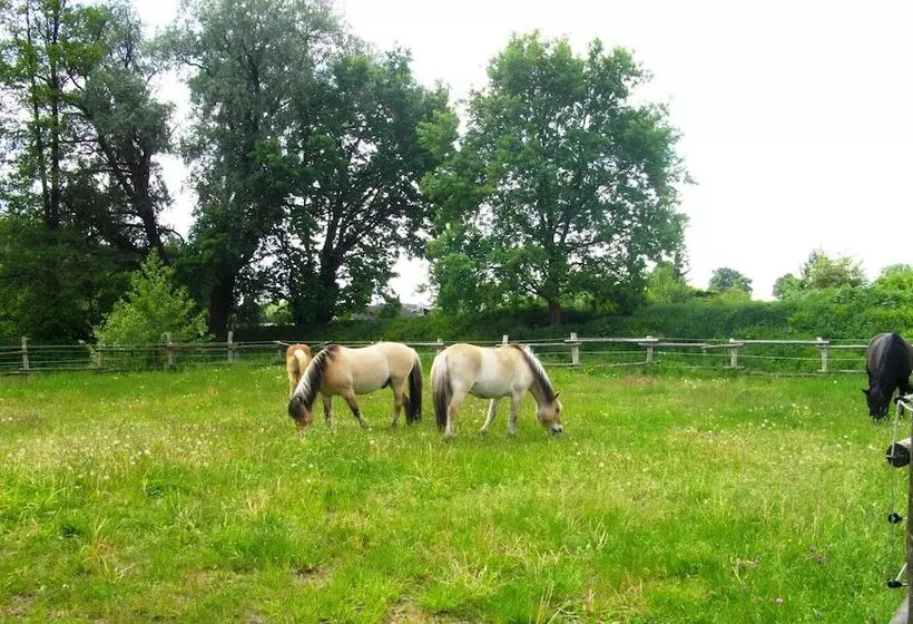 Hotelli Vierjahreszeiten Appartments