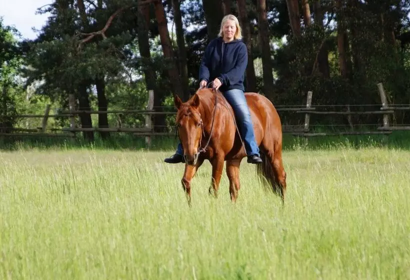 Hotelli Vierjahreszeiten Appartments