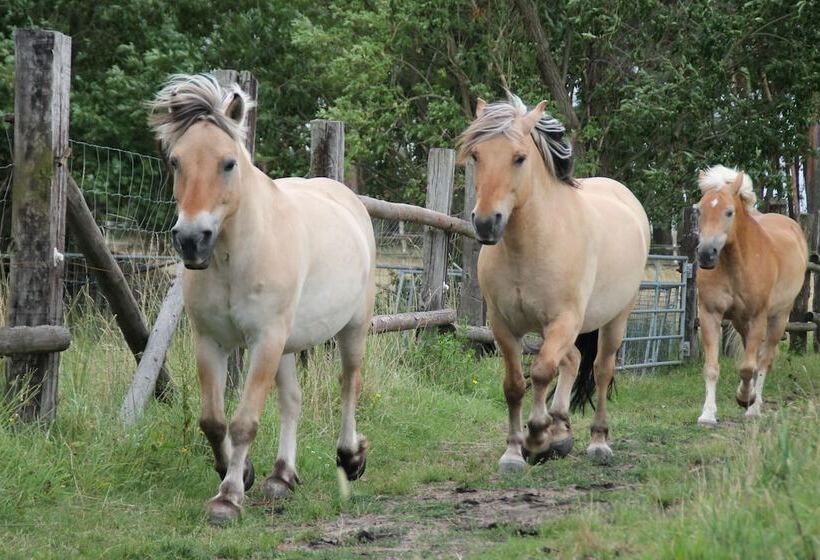 ホテル Vierjahreszeiten Appartments