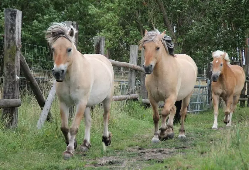 Hotelli Vierjahreszeiten Appartments