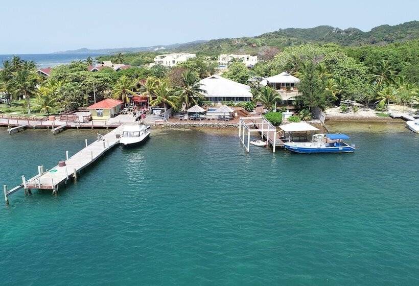 هتل Wikkid Resort