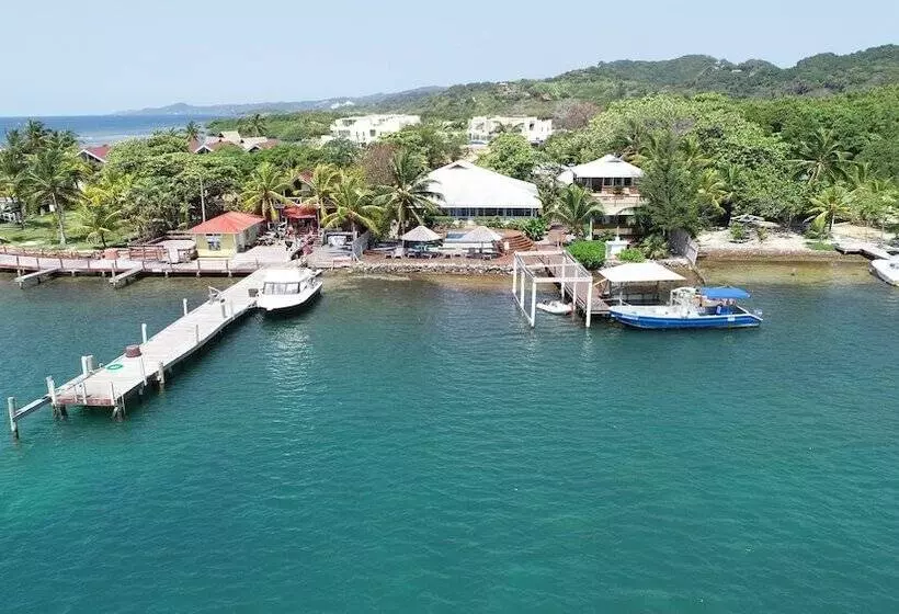 هتل Wikkid Resort