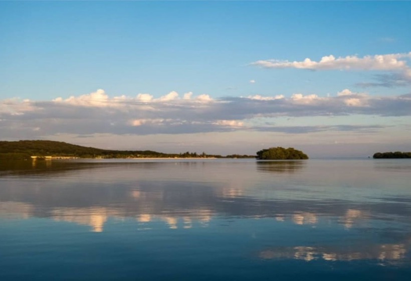 هتل Wikkid Resort