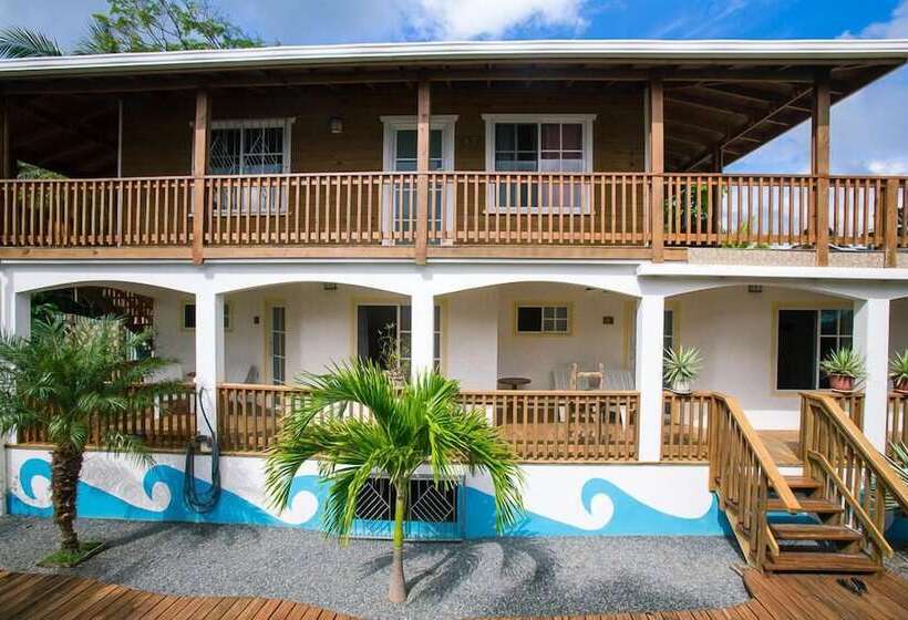 هتل Wikkid Resort