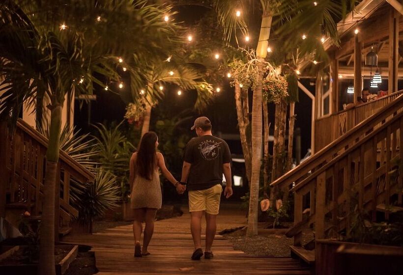 هتل Wikkid Resort