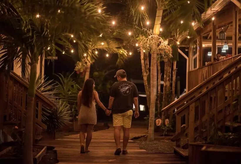 هتل Wikkid Resort