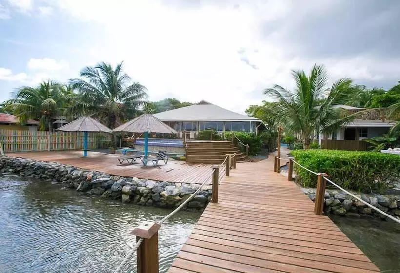 هتل Wikkid Resort