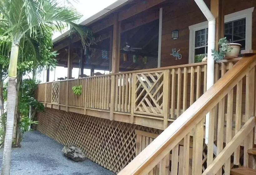 هتل Wikkid Resort