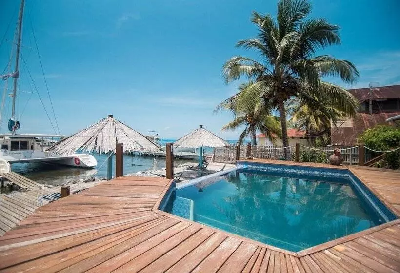 هتل Wikkid Resort