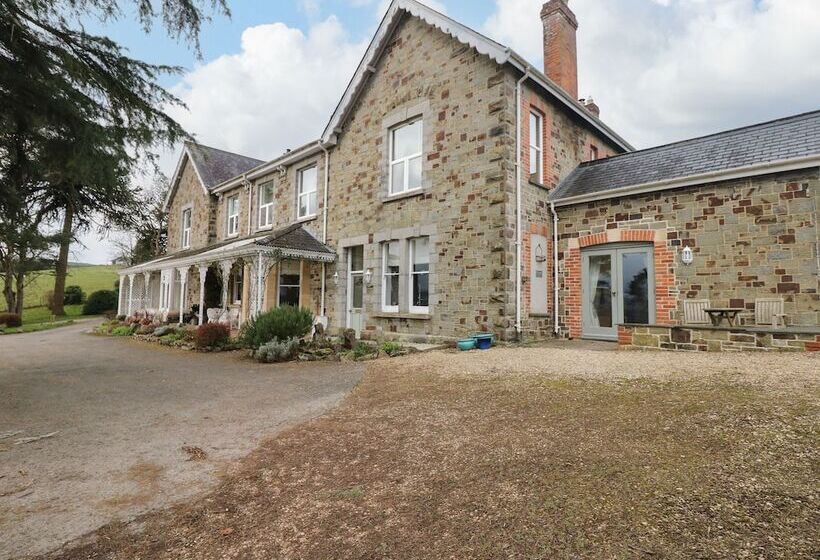 Little Silver Nugget