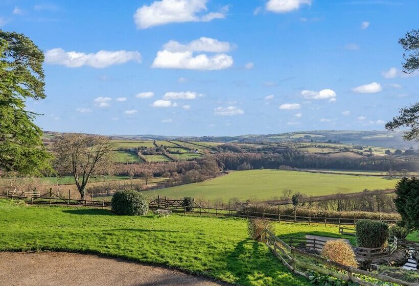 Little Silver Nugget