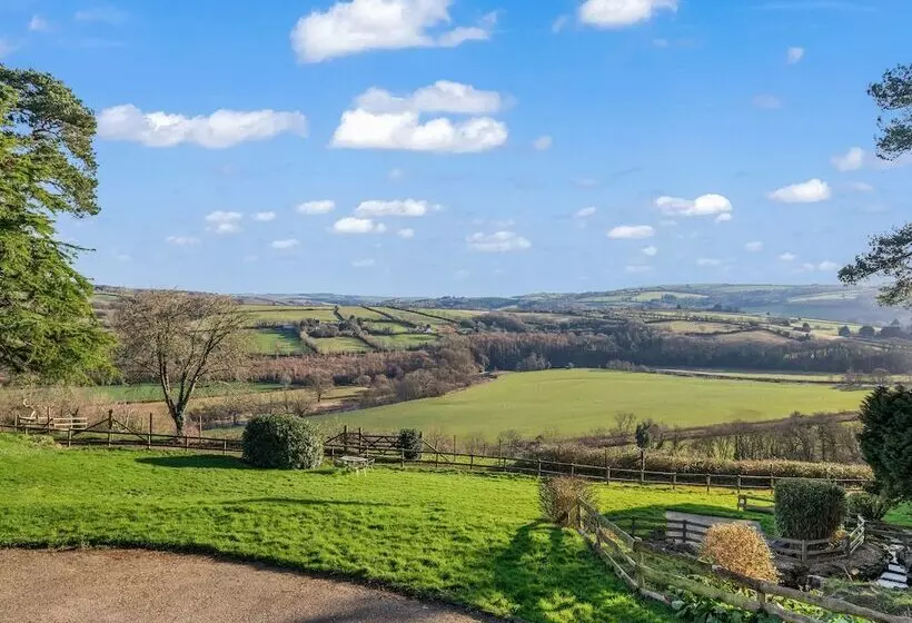 Little Silver Nugget