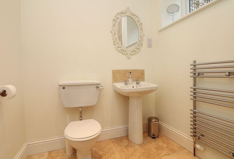 Little Silver Nugget