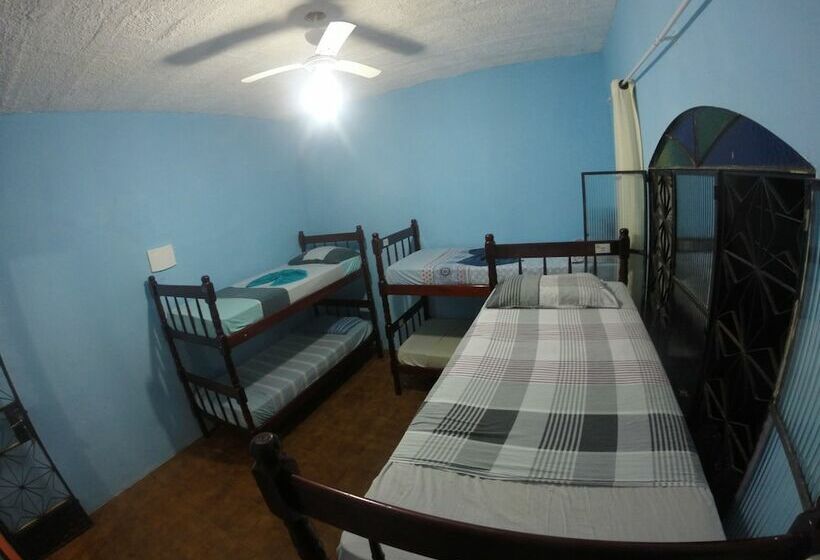 Nativo Hostel Ilha Grande