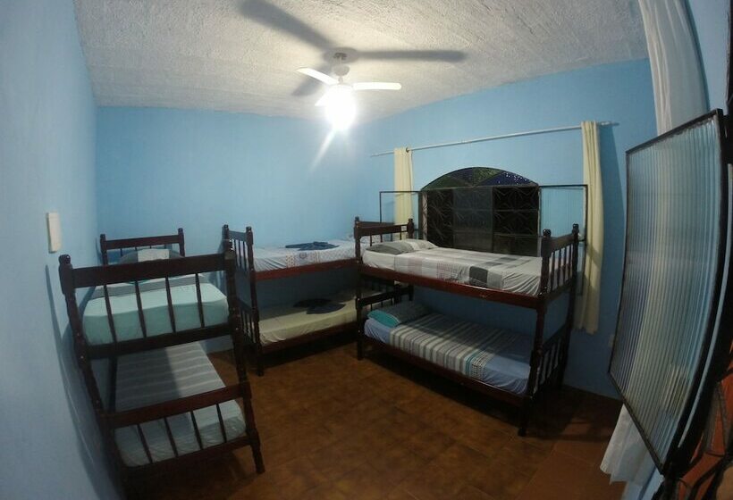Nativo Hostel Ilha Grande
