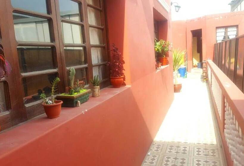 Nirvana Healing Center   Adults Only   Hostel