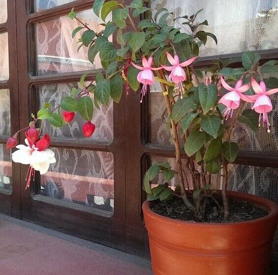 Nirvana Healing Center   Adults Only   Hostel