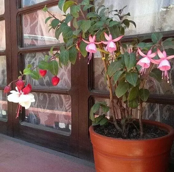 Nirvana Healing Center   Adults Only   Hostel