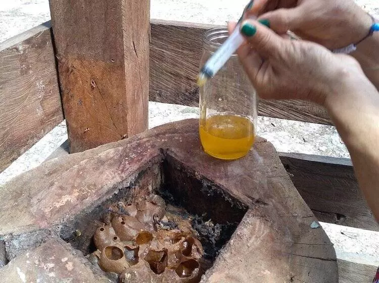 Majatalo Casados Ranch