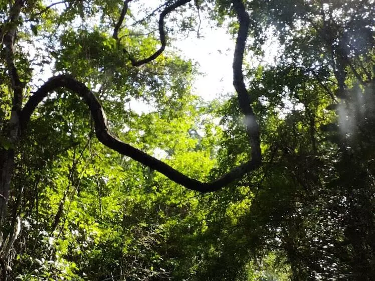 Majatalo Casados Ranch