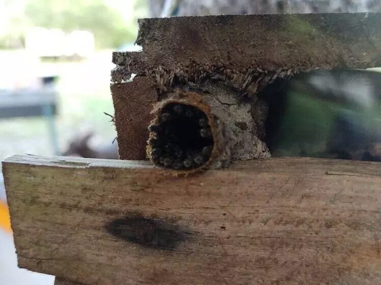 Majatalo Casados Ranch