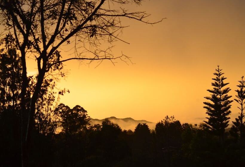 Пансион Finca Alexandría