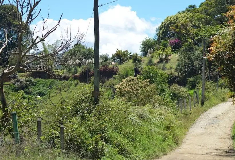 ペンション Finca Alexandría