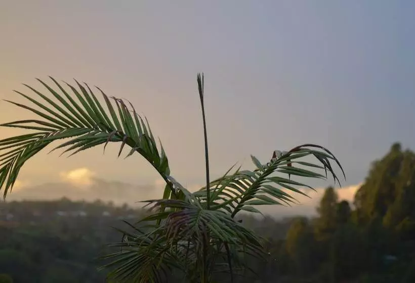 ペンション Finca Alexandría