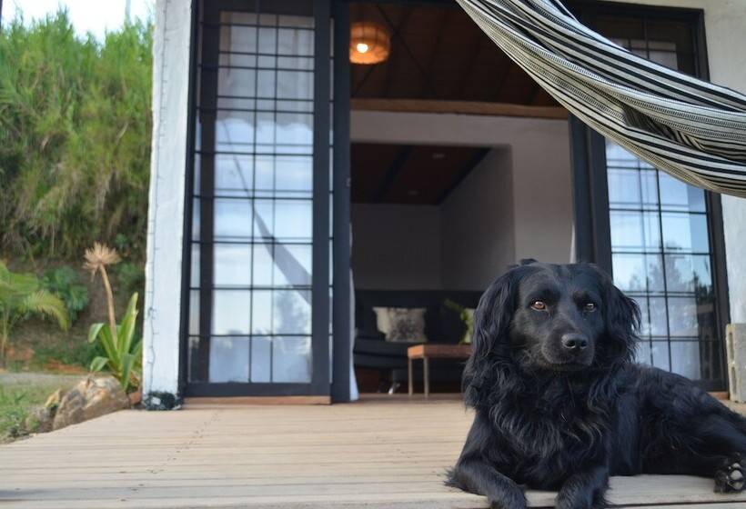 Пансион Finca Alexandría