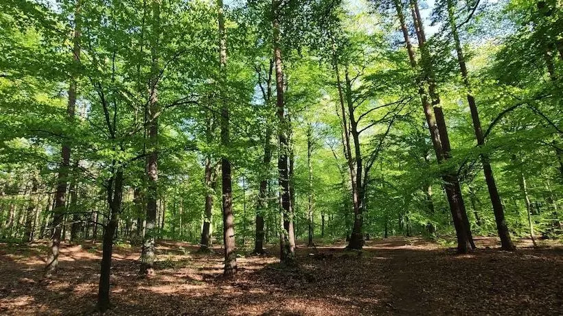 Majatalo Karsibor.de