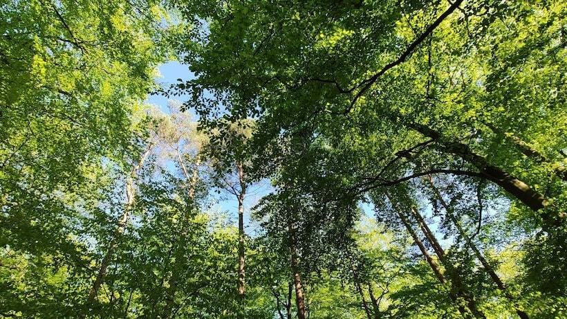 פנסיון Karsibor.de