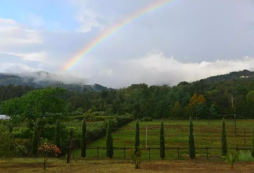 Amedea Tuscany Country Experience