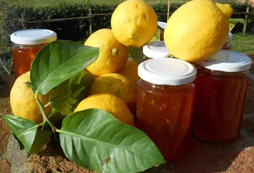 Amedea Tuscany Country Experience