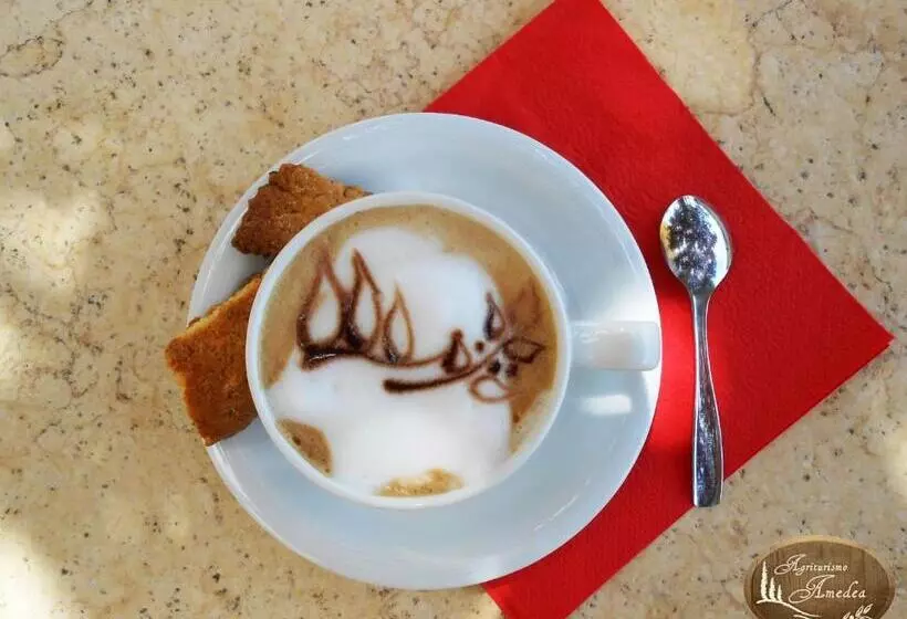 Amedea Tuscany Country Experience