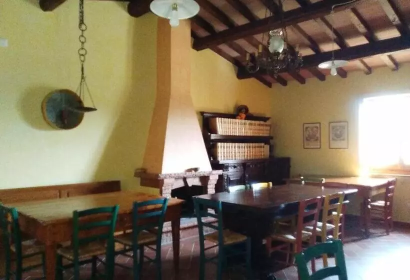 Amedea Tuscany Country Experience