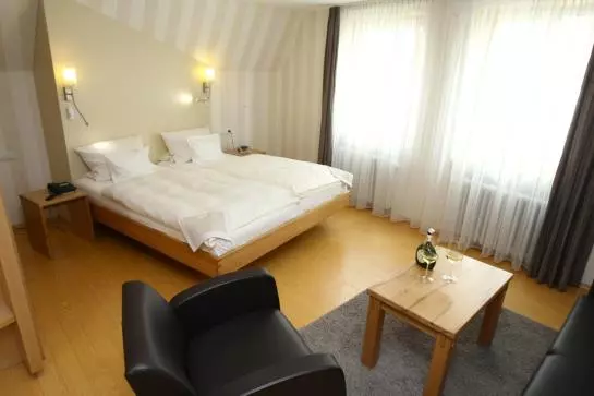 Отель Behringer