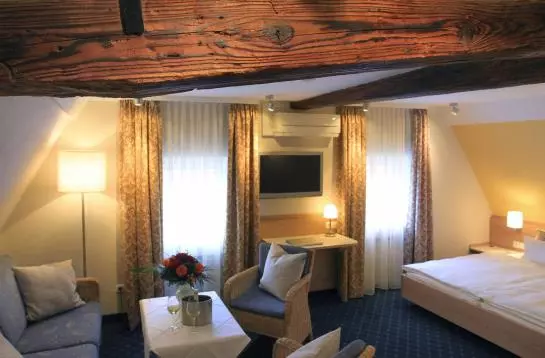 Отель Behringer