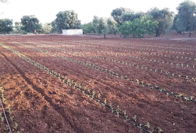 هتل Masseria San Martino