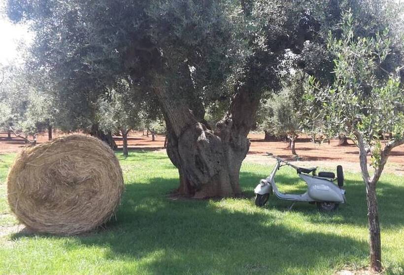 فندق Masseria San Martino