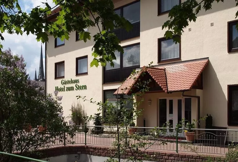 Parkhotel Zum Stern
