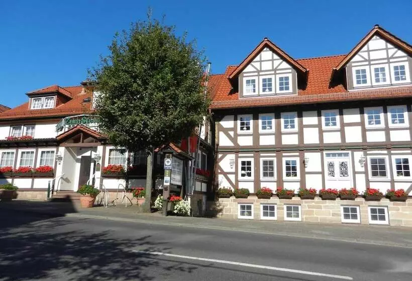 Parkhotel Zum Stern
