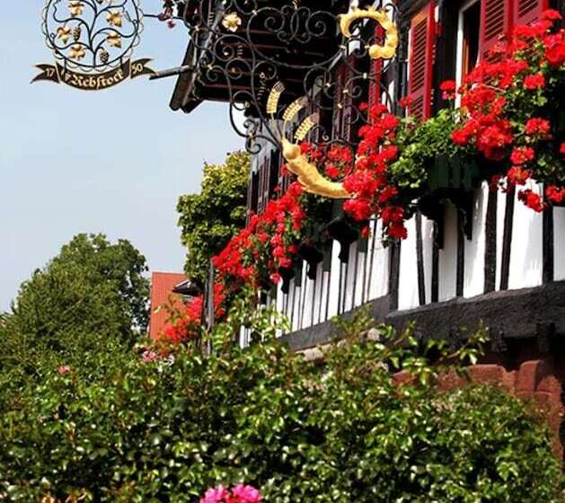 Otel Rebstock Waldulm