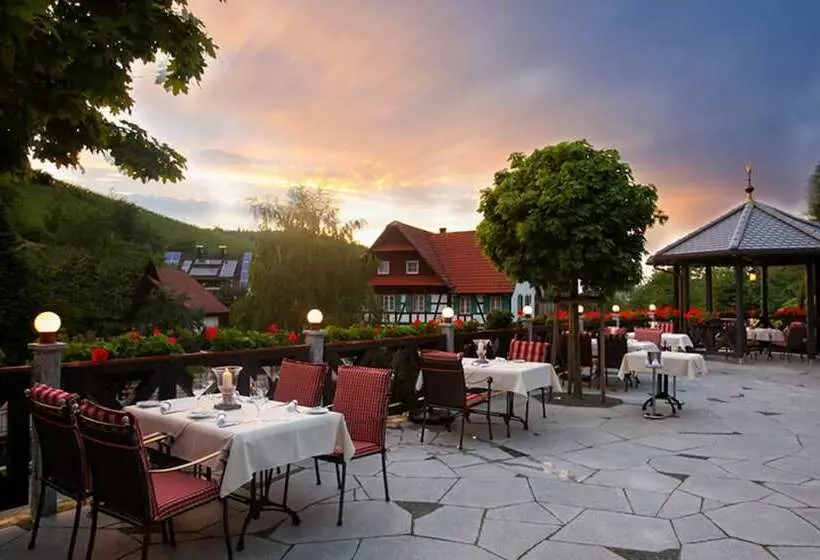 호텔 Rebstock Waldulm