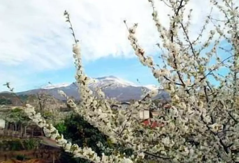 Il Vigneto Bed & Breakfast