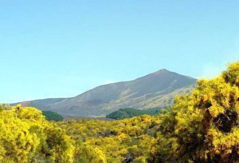 Il Vigneto   Bed & Breakfast