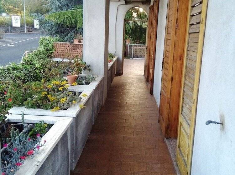 Il Vigneto   Bed & Breakfast