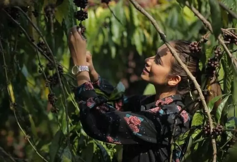 אתר נופש Evolve Back, Coorg