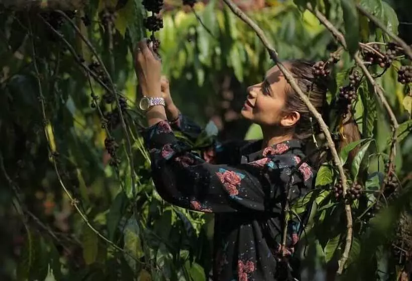 אתר נופש Evolve Back, Coorg