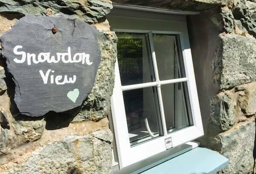 Snowdon View